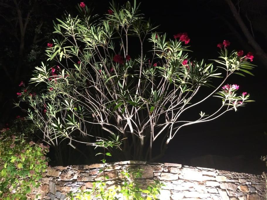 הייר Villa Saint-Come, Du Grand Luxe A 1 Min De La Mer מראה חיצוני תמונה